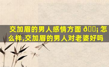 交加眉的男人感情方面 🐡 怎么样,交加眉的男人对老婆好吗